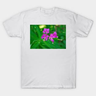 Lavender Fireweed T-Shirt